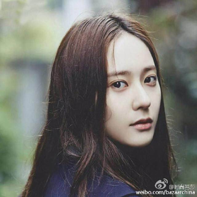 152网主 黑色大丽花