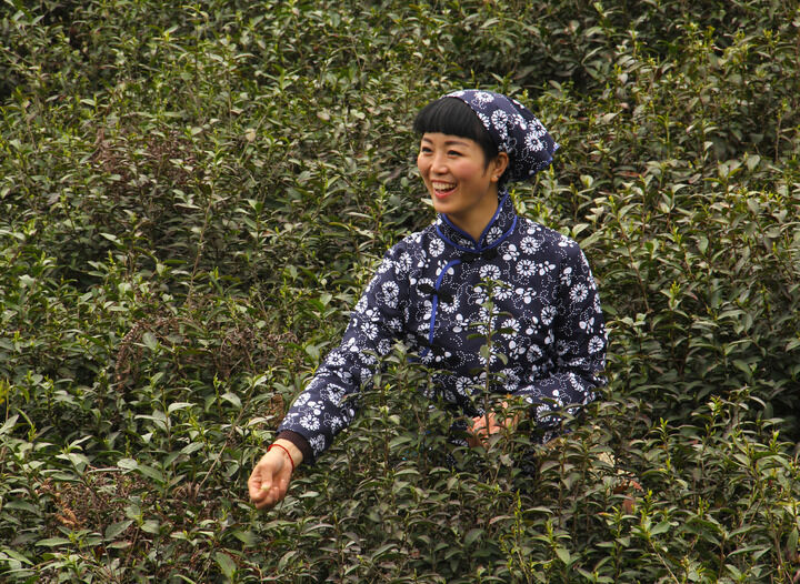 152网主 雨伞与口红